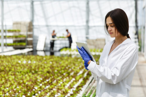 APLICACIÓN DE TÉCNICAS DE ASEGURAMIENTO DE CALIDAD ALIMENTARIA HACCP Y POS